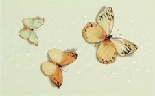 Zdjęcie Polcolorit Havana 3 Motyle Verde Dekor 40x25