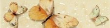 Zdjęcie Polcolorit Havana Motyle Giallo Listwa 5x25