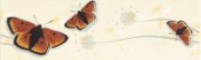 Zdjęcie Listwa Motyl 6,5/20 Almeria Beige 1