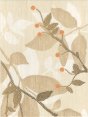 Begonia beige inserto B 25x33.3