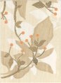 Begonia beige inserto A 25x33.3